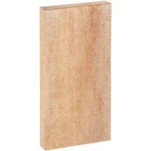 Diephaus Palisade VIA 50 x 25 x 5 cm Orange
