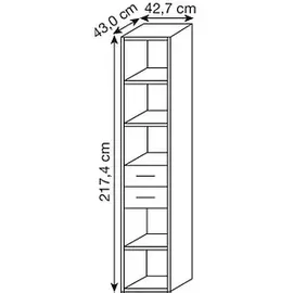 Röhr-Bush röhr Regalschrank Techno, 019-433-7110-71-B1 ahorn 42,7 x 43,0 x 217,4 cm