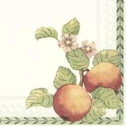 IHR Lunch-Servietten New French Garden 33x33cm