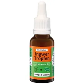 Dr. Muche GmbH Ingwertropfen+vitamin B12 Muches