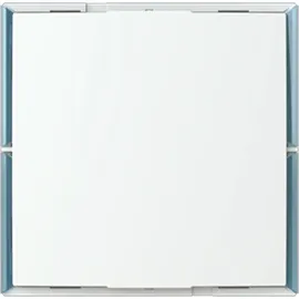 Busch-Jaeger Keypad Bedienelement 1..4 KK/U4.55.11