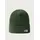 The North Face Norm Beanie Grün