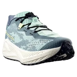 Salomon Aero Glide 4 GRVL Herren Stormy Weather/Lichen 46