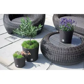 Prosperplast Rato Round Ø 20 x 19 cm Anthrazit