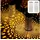 Marrakesch Orient & Mediterran Interior Laterne Metall 30 cm 2er Set Solar LED Weiß/Gold