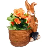 Outsunny Hase mit Weidenkorb 50 x 50 x 50 cm Braun