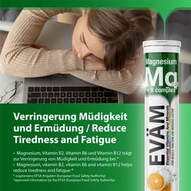 eväm Magnesium + Vitamin B Complex C Brausetabletten 20 St.