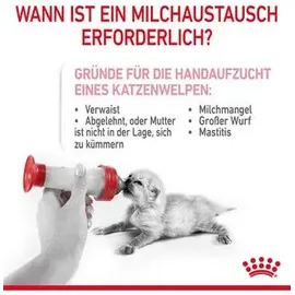 Royal Canin Babycat Milk 300 g