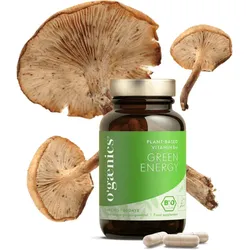 Green Energy | Plant-Based Bio-Vitamin B12