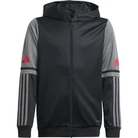Adidas Unisex Kinder SQUADRA25 Hoody Kids Black/Team Grey Four/Pure Ruby, 7-8 Years