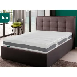 fan ProVita First Class T 90 x 200 cm H3 Bezug Lyocell