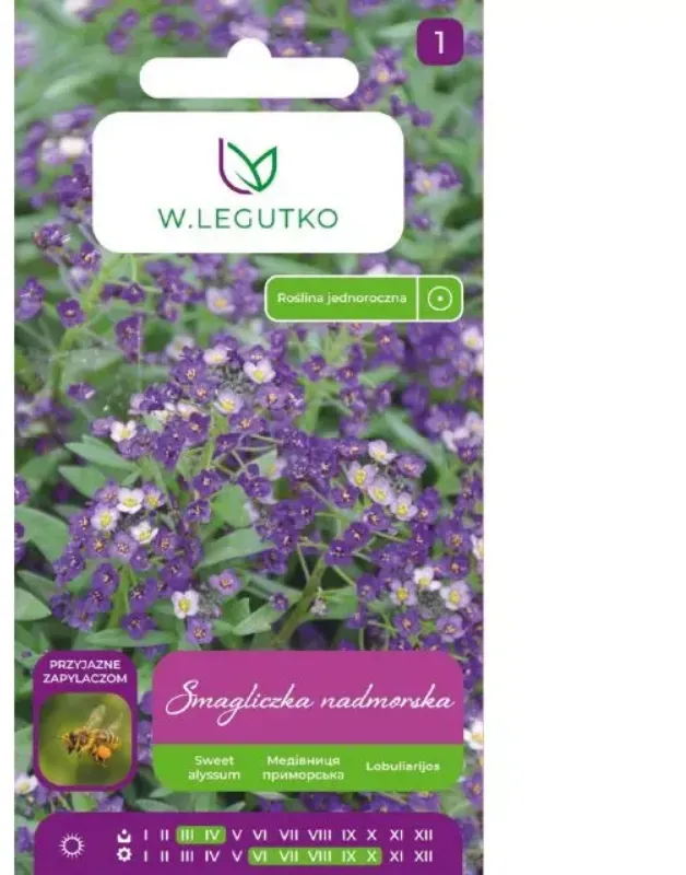 Lila-violette Strand-Platterbse