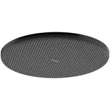 Hansgrohe Raindance Alive S Kopfbrause 300 1jet brushed black chrome