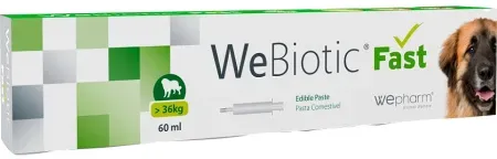 Wepharm WeBiotic Fast >36kg Darmfunktion 60ml
