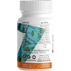 ProFuel Vitamin B Komplex Tabletten 180 St.
