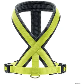 Hunter London Comfort Hundegeschirr Grün XS-S
