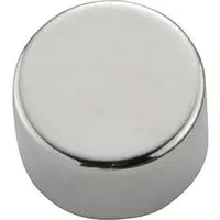 Conrad PIC-M0805 Permanent-Magnet Rund (Ø x L) 8 mm x 5 mm N35 1.19 T (max) Grenztemperatur (max.): 80 °C
