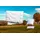DUNLOPILLO Home Sommerdecke 155x220 cm | Leichte und Atmungsaktive Bettdecke - weiß,