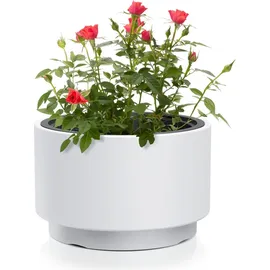 Prosperplast HEOS DLHEN470 46,5 x 46,5 x 29,5 cm Weiß