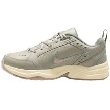 Nike Air Monarch IV Light Bone/Sanddrift/Spruce Aura 44,5