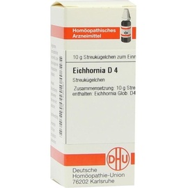 DHU-ARZNEIMITTEL EICHHORNIA D 4