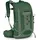 Osprey Talon 11 l grün
