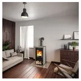 Kaminofen Haas & Sohn Rubus Serpentino grey stone 6 kW mit Holzfach