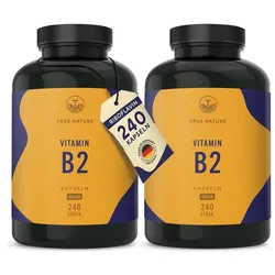 Vitamin B2 Vegan - Riboflavin - 16 Monate Vorrat 480 St