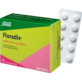 Floradix Eisen 100mg forte