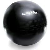 Blackroll Gymball 65 schwarz