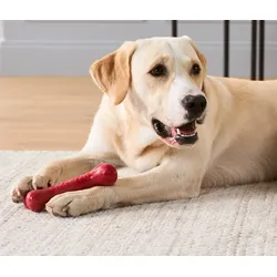 Tchibo - Hunde-Spielzeug - rot