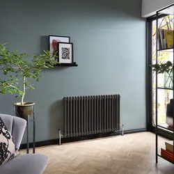 Gliederheizkörper (2-säulig), horizontal | Größe wählbar | Zinn – Regent
