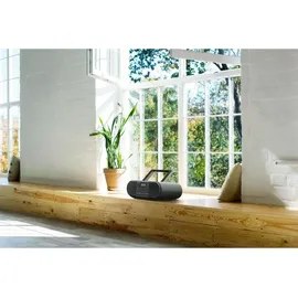 Panasonic RX-D550E-K schwarz