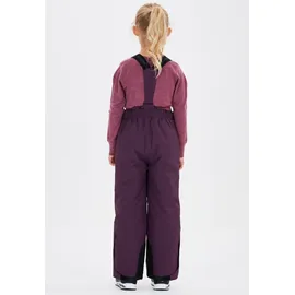 ZigZag Provo Skihose Lila 98