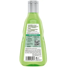 GUHL IKEBANA Frische und Leichtigkeit Anti Fett Shampoo 250 ml