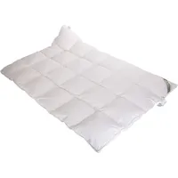 Betten Hofmann Belladream Daunendecke Daunenbett 4x6 155x220 cm 100% Daunen Außensteg