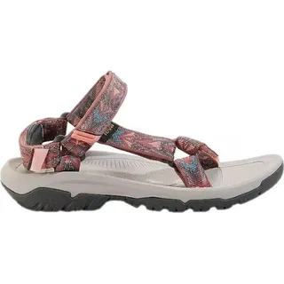 archive wings blooming dahlia 36