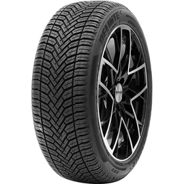 Delinte AW6 195/65R15 91H BSW