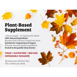 DR WAKDE's Shankhpushpi Kapseln 60 St.