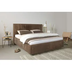 Polsterbett BIRKENSTOCK "Canberra Luxury", braun (braungrau bir 4), B:177cm H:111,5cm L:222,5cm, Sattelleder BIR (100% Echtleder), Betten, Kopfteil in Sattelleder mit Lederkante, unterschiedliche Ausführungen