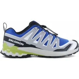 Salomon XA Pro 3D V9 Herren Nautical Blue/Alloy/Dark Citron 47 1/3