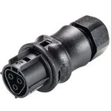Wieland Electric 96.031.0053.1 Rundstecker Buchse, gerade Gesamtpolzahl: 3 1St.
