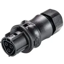 Wieland Electric 96.031.0053.1 Rundstecker Buchse, gerade Gesamtpolzahl: 3 1St.