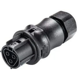 Wieland Electric 96.031.0053.1 Rundstecker Buchse, gerade Gesamtpolzahl: 3 1St.