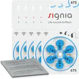 Signia Siemens Signia Hörgerätebatterien 675 Blau 24600 (10x 6er Blister