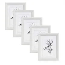 Woltu 5er Set 13x18cm Bilderrahmen Artos Stil Holz Rahmen Fotogalerie Glasscheibe, Weiß