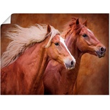 Artland Wandbild »Reinrassige Pferde I«, Haustiere, (1 St.), als Alubild, Leinwandbild, Wandaufkleber oder Poster, in versch. Größen