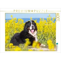 Calvendo Puzzle Berner Sennenhund auf dem Weg durch die