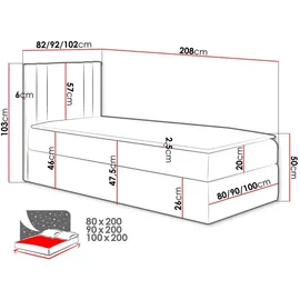 Mirjan24 Carmen Mini 100 x 200 cm Grau