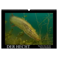 Calvendo Der Hecht - Tauchen Sie ab mit Daniel